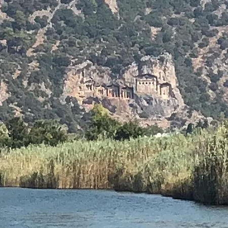 Villa-sleeps 9-parking-pool-bbq-hot Tub-pets * 达利安