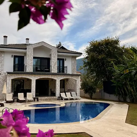 Villa-sleeps 9-parking-pool-bbq-hot Tub-pets Dalyan