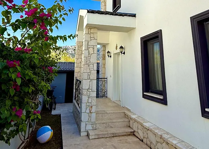 Villa-sleeps 9-parking-pool-bbq-hot Tub-pets 别墅 达利安